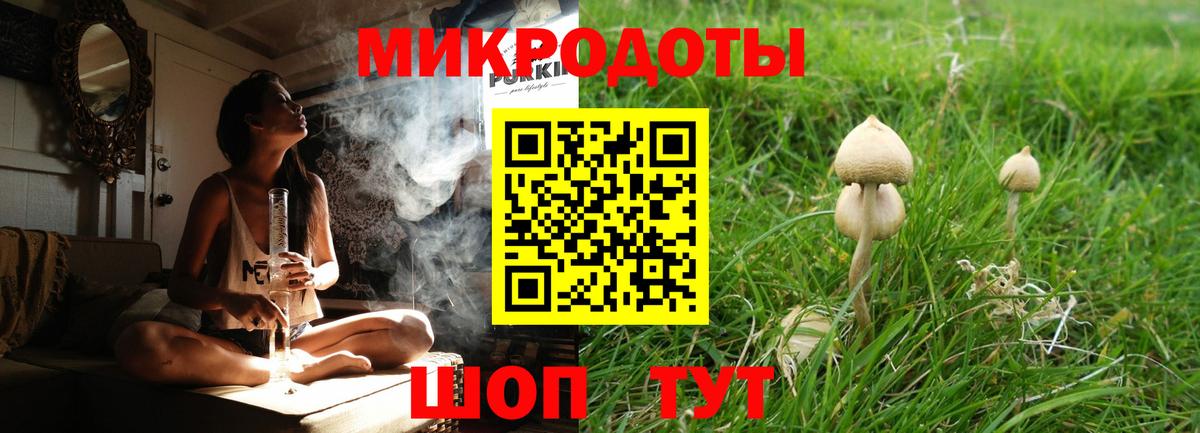 Галлюциногенные грибы Psilocybine cubensis Янаул
