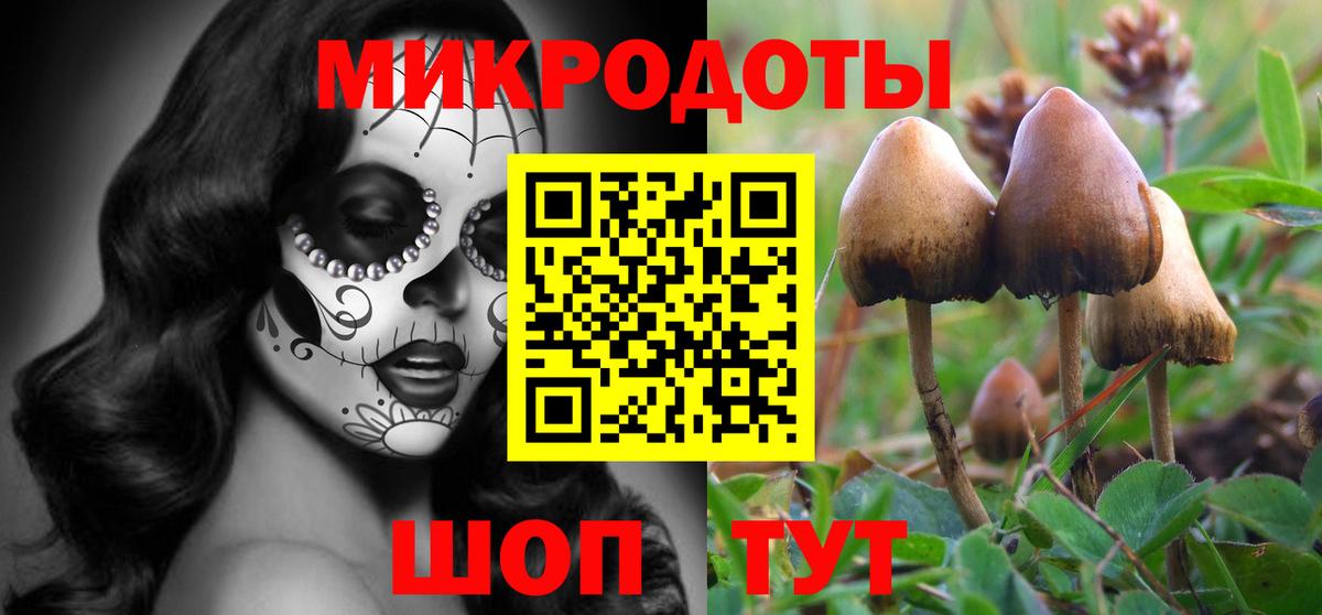 Янаул  Галлюциногенные грибы Cubensis  Вход с VPN  Псилоцибиновые грибы Psilocybine cubensis 